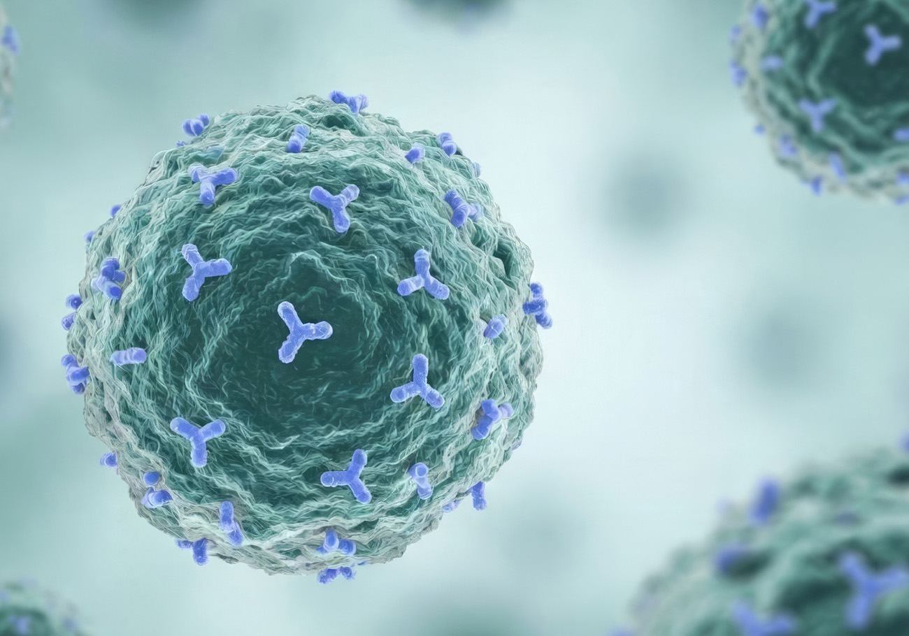 Treg therapy: the immune system learns